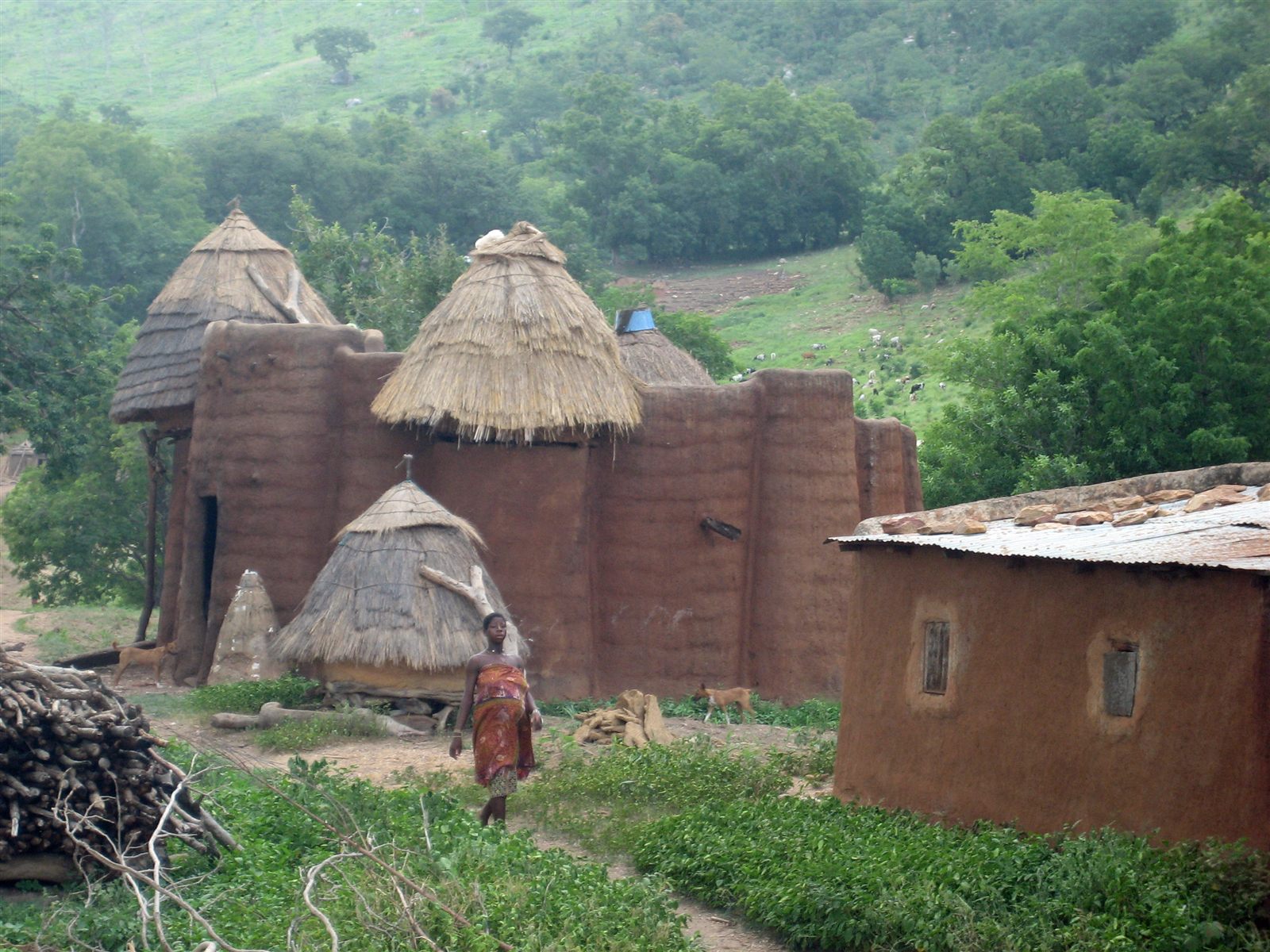 Takienta, mud tower-houses